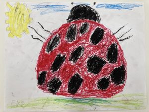 "The Ladybug" by Eve Morrow