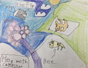"Insect Site" by Finley Oatman