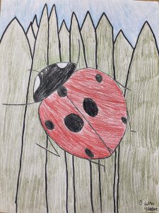 "Just a lady bug" by Owen Yeager